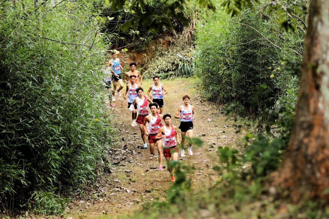 特色森林越野跑,拥抱自然的运动新体验 特色森林越野跑,拥抱自然的运动新体验