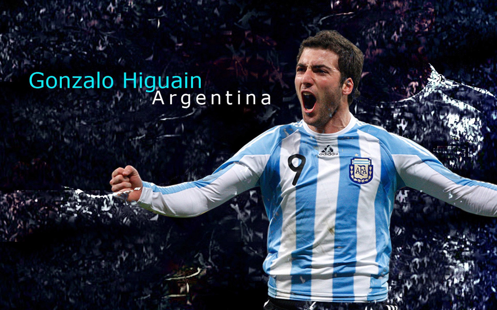 从逆境到荣耀：追寻那段难忘的夺冠历史，从逆境中走出来的经历